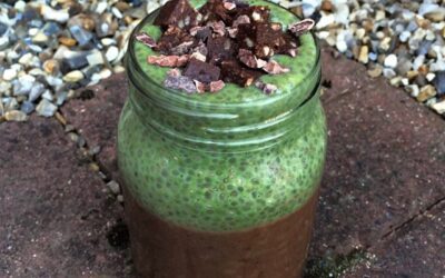 Choc Chia Matcha Pudding By Papaya Sunshine