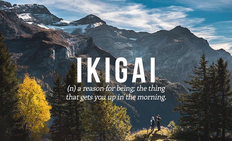 Ikigai