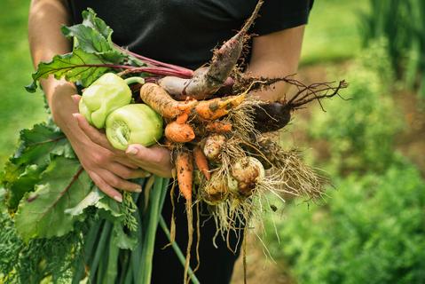 Fresh vegetables