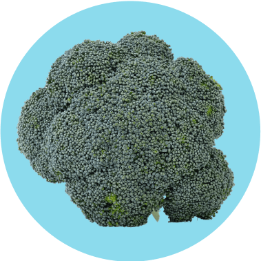 Broccoli