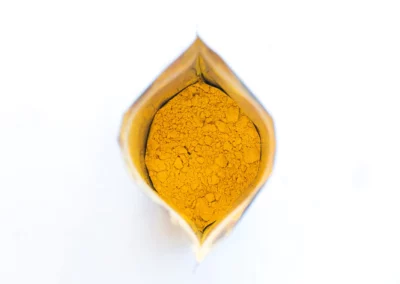Everything you need to know about TURMERIC