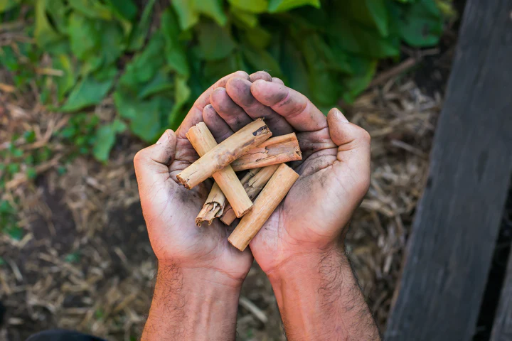 The Truth About Cinnamon…