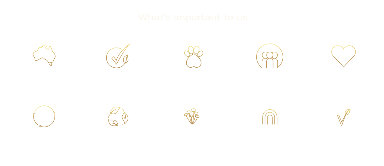 WHAT_S_IMPORTANT_TO_US_trans_2_1296x